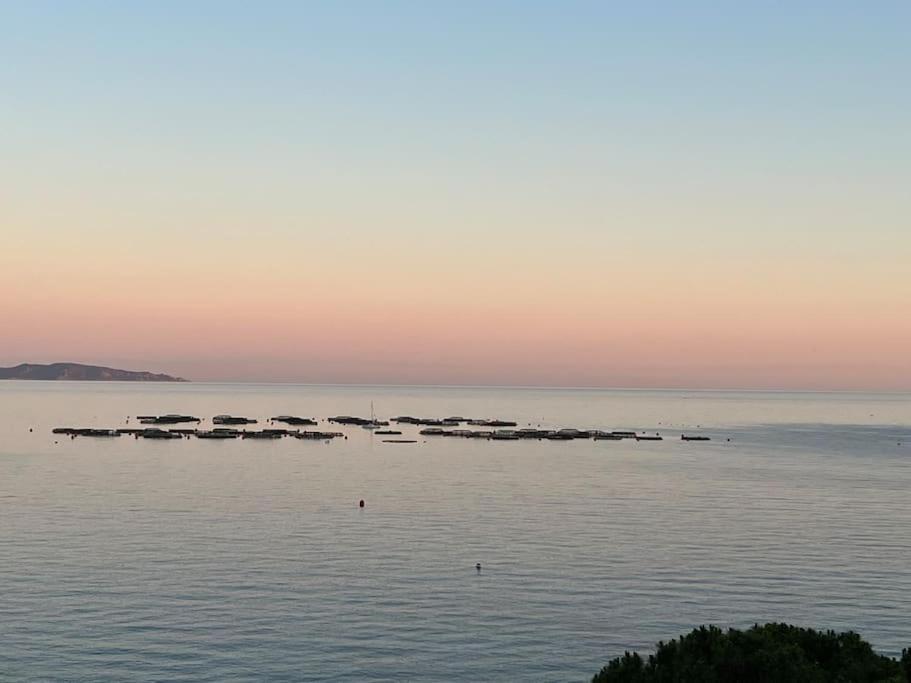 Bel App T2 En Bord De Mer Vue Sanquinaires Piscine Аяччо Экстерьер фото